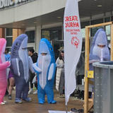 People in inflatable shark costumes stand near a "Greater Durham Special Olympics Ontario" flag.