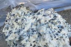 A hand holds a large, rough rock with a white, powdery surface and dark, scattered spots.