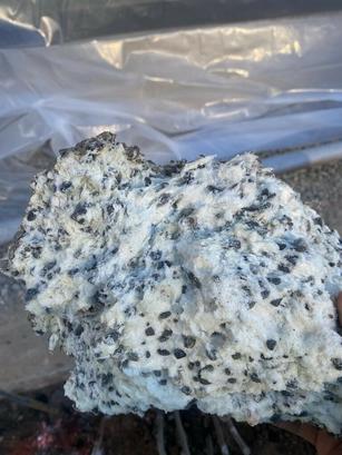 A hand holds a large, rough rock with a white, powdery surface and dark, scattered spots.