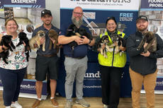 Five smiling people stand holding puppies in front of Groundworks promotional banners indoors.