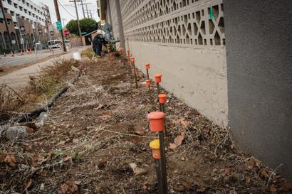 Orange-topped stakes line a dirt area next to a building; workers tend to plants in the background.