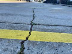 A cracked asphalt road with yellow lines and grass growing in the crack.