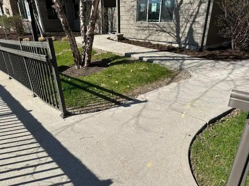 Curved sidewalk and metal fence beside a grassy area in front of a house with trees and shrubs.