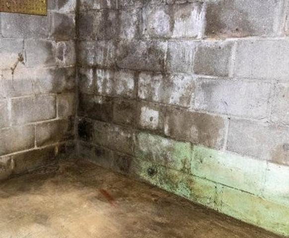Efflorescence on basement walls