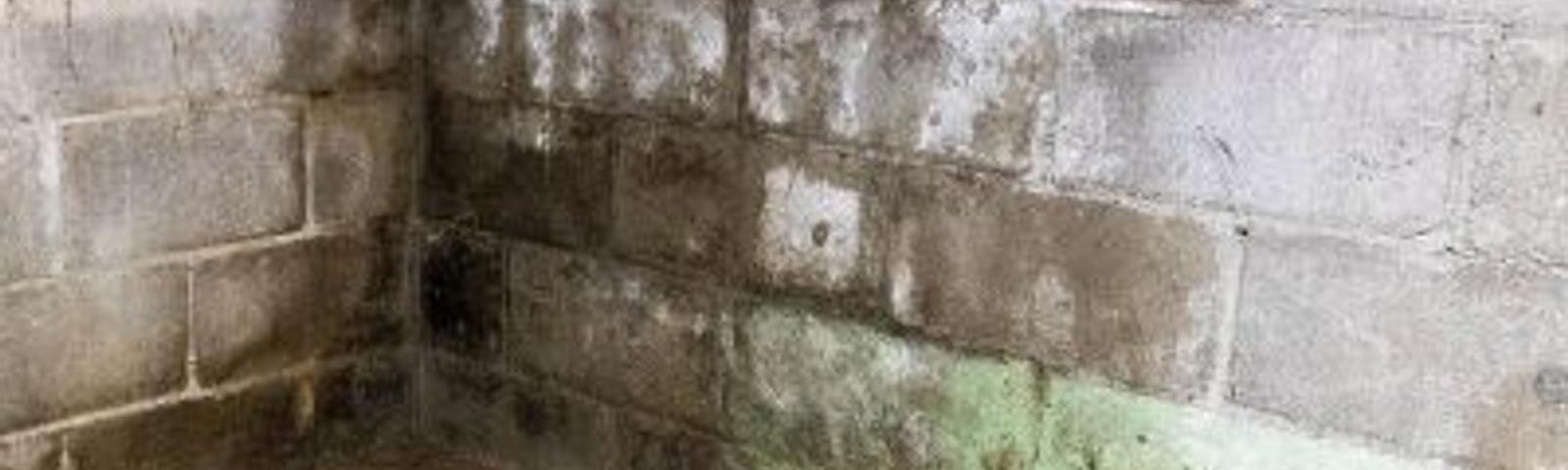 Efflorescence on basement walls