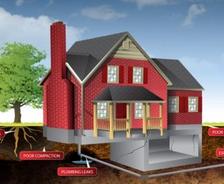Illustration of a house with labels highlighting foundation issues: tree roots, poor compaction, plumbing leaks, drainage.