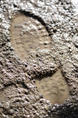 A shoe print pressed into wet, muddy ground.