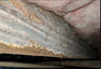 Crawl Space Problem