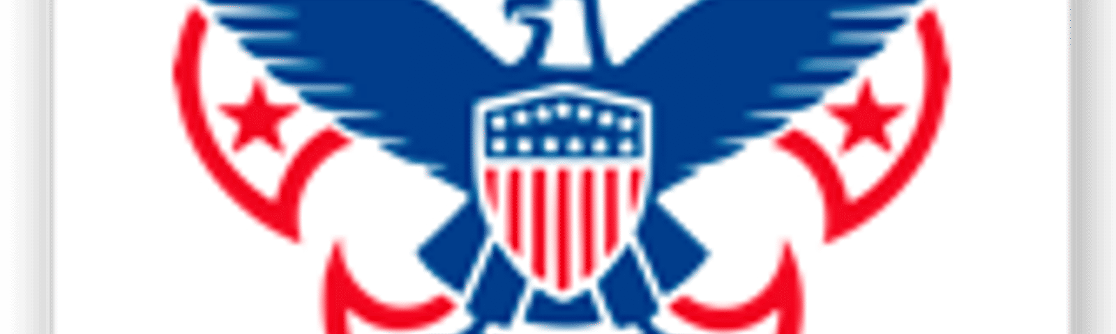 Boy Scouts of America logo with an eagle and shield in blue and red on a fleur-de-lis.
