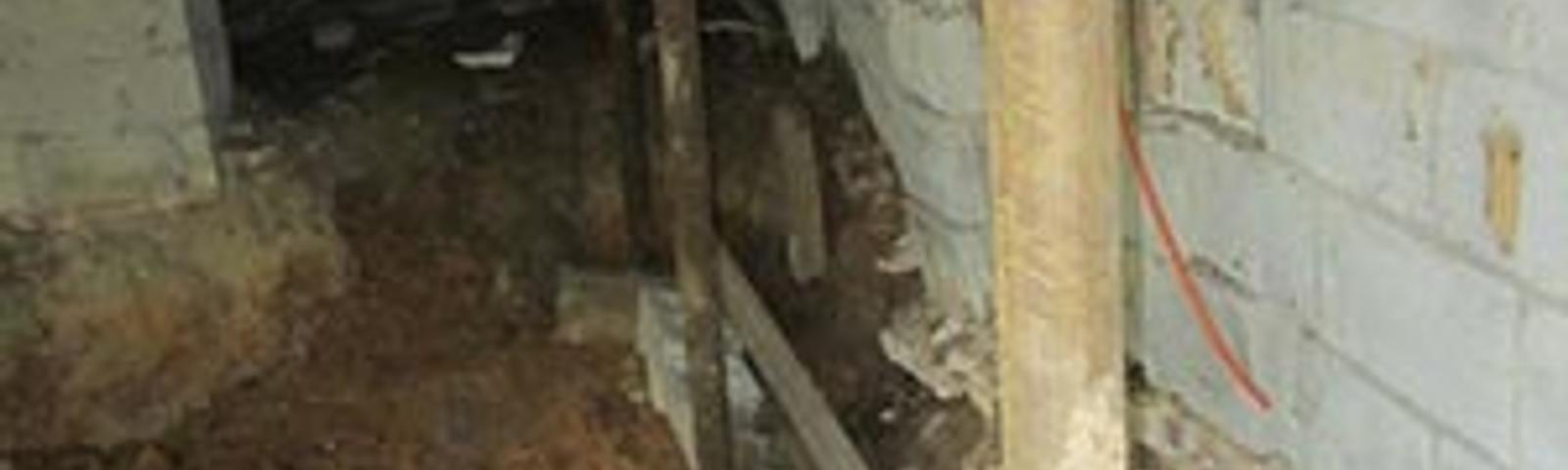 Crawl space with exposed dirt floor, support beams, and concrete walls.