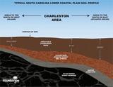 Mount Valley and Charleston SC area soil types