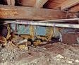 Dirty crawl space