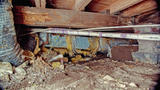 Dirty crawl space