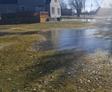 Standing water in yard.