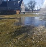 Standing water in yard.