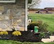 foundation and landscaping
