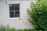 Crack in foundation from trees.