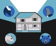 infofraphic of animals and basement