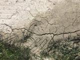 Dry soil and foundation problems