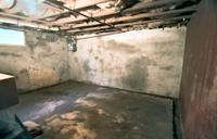 wet and musty basement