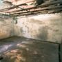 wet and musty basement
