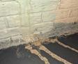 water leak in basement