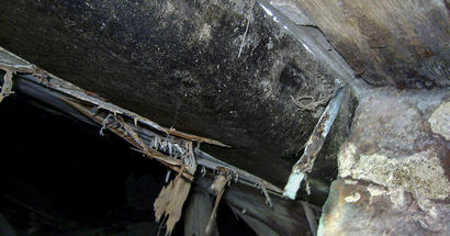 mold in crawl space