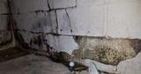cracks and mold in walls