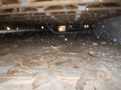 unhealthy crawl space