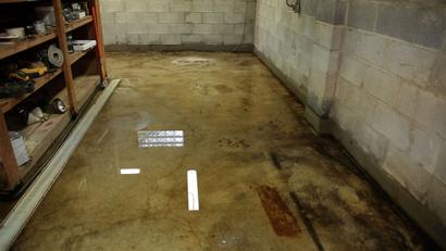 Standing water in basement.