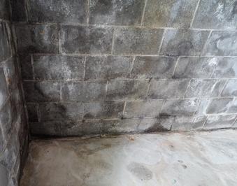 Efflorescence on basement wall