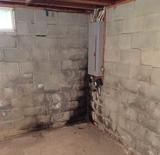 mold in basement corner