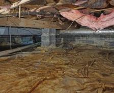 damaged insulation in crawl space