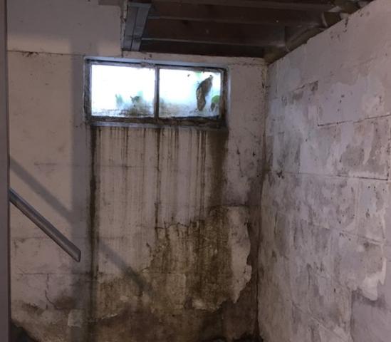 Leaking basement window and well