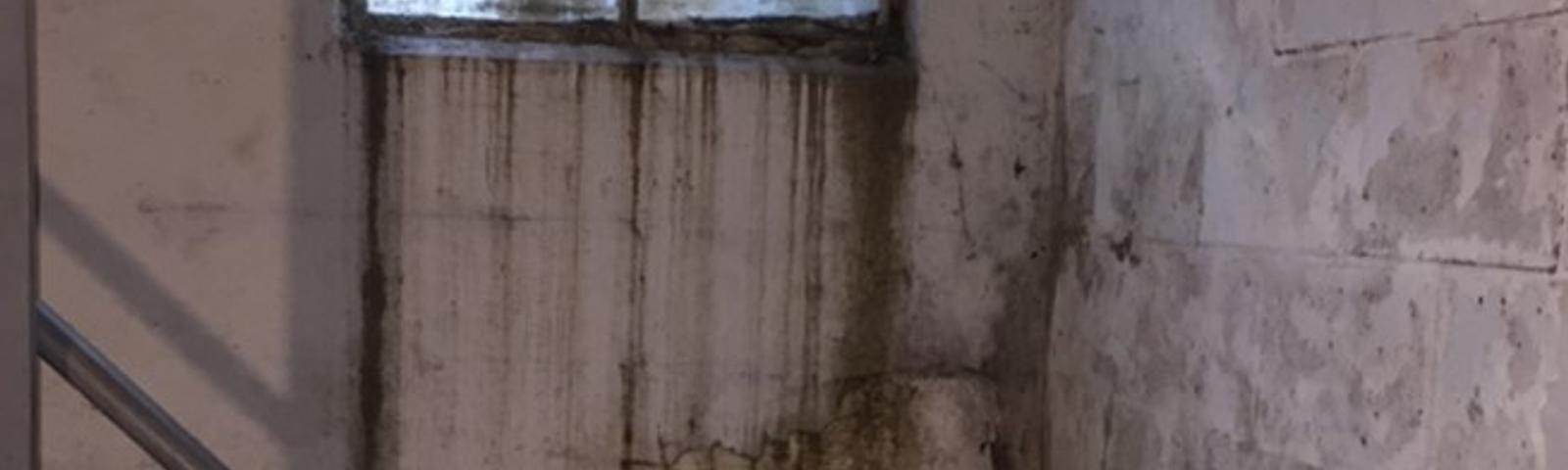 Leaking basement window and well