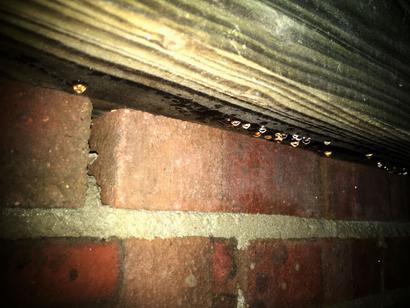 condensation on crawl space joists