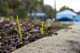 soil problems around concrete