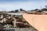 Soil washout