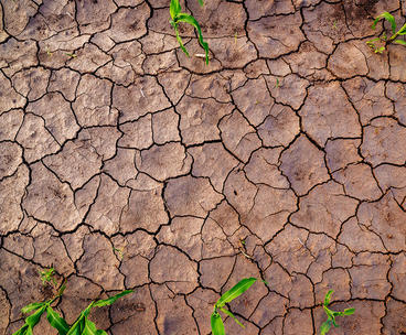 Dry shrinking soil