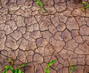 Dry shrinking soil