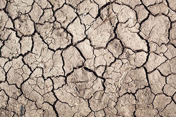 dry soil tar heel basement systems