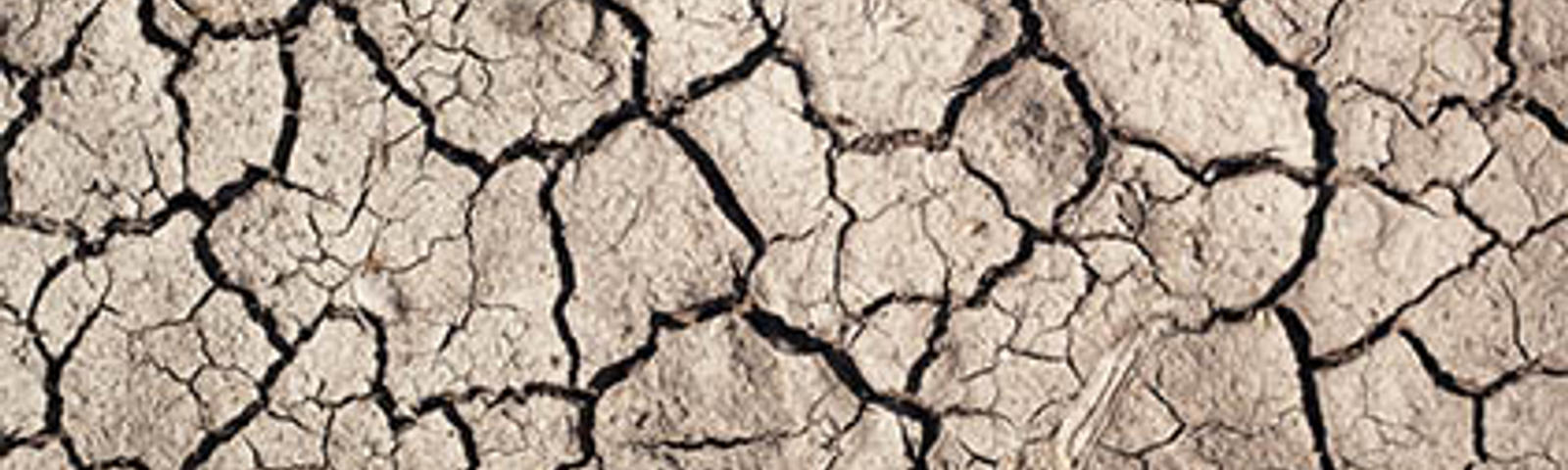 dry soil tar heel basement systems