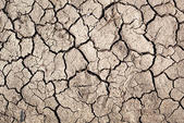 dry soil tar heel basement systems