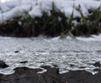 Melting snow with grass close up