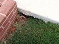 void under concrete sidewalk