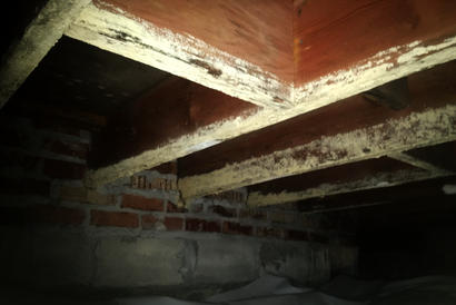 Mold on crawl space joists