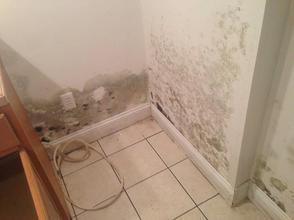 Water stains on interior wall