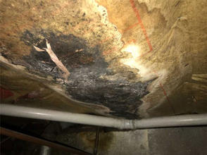 Mold and sagging basement interior.