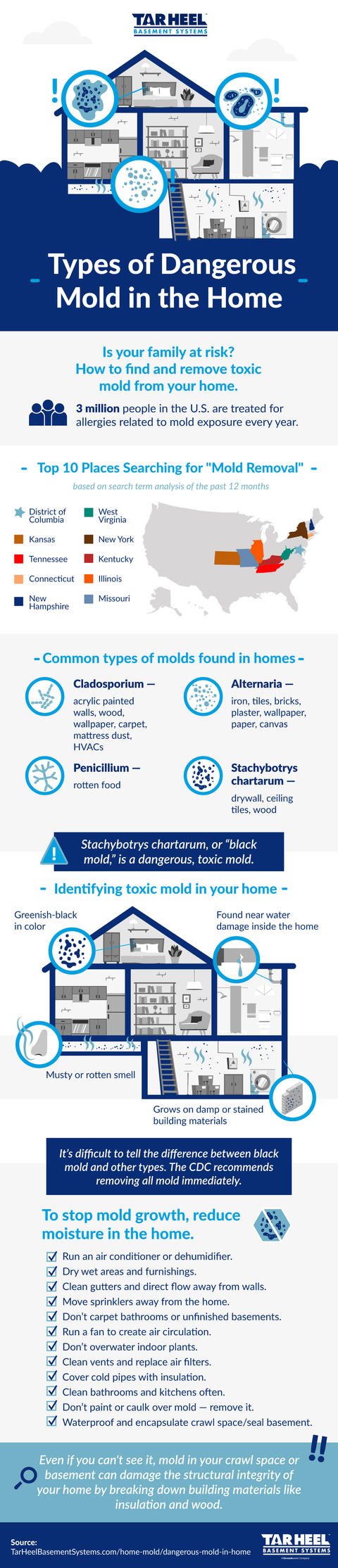 Types of dangerous mold infographic.