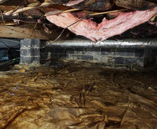 damaged fiberglass insulation